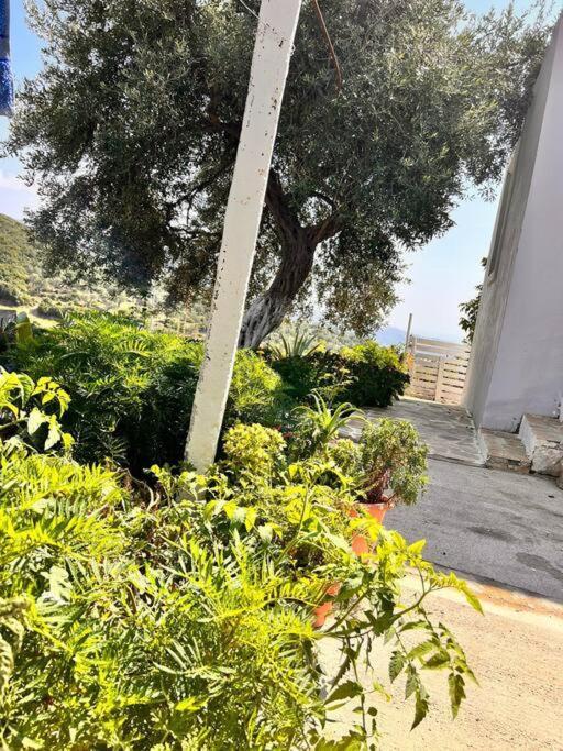 Appartamento Village House Himare